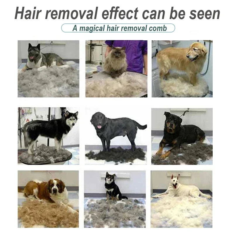 Pet Brush for Dogs, Cats Comb Hair Removal Brush