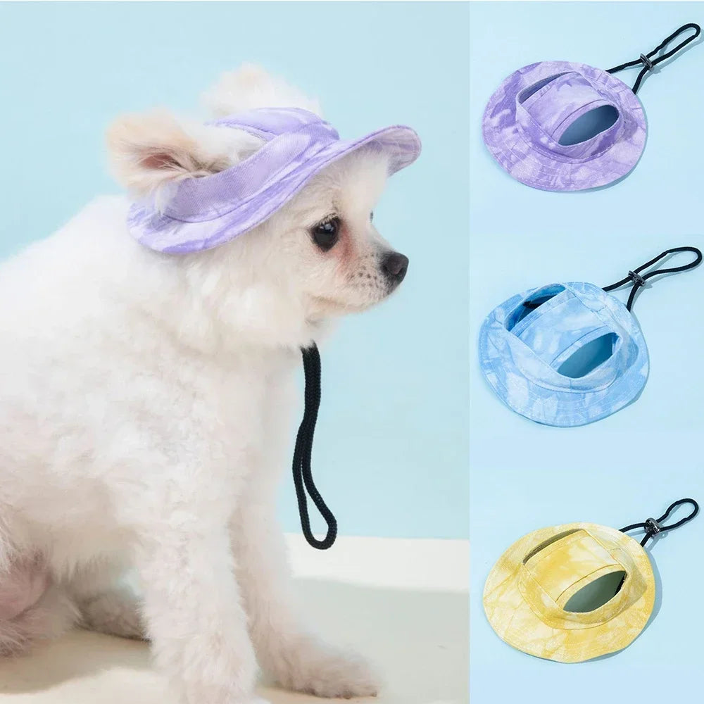 Pet Hat with Ear Holes