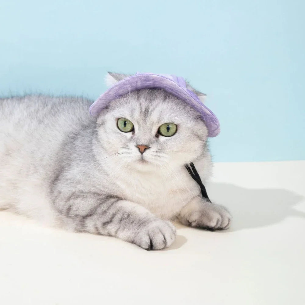 Pet Hat with Ear Holes