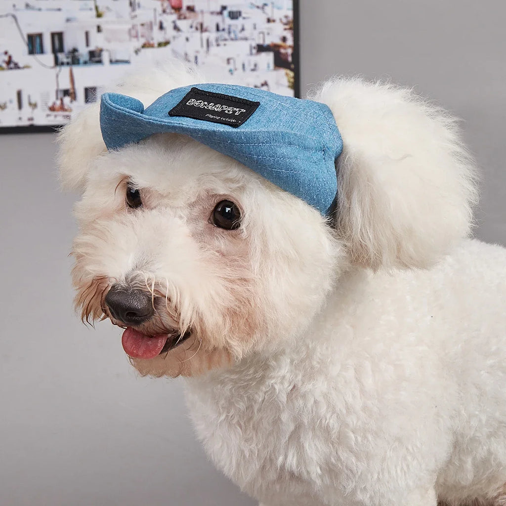 Dog Summer Baseball Cap