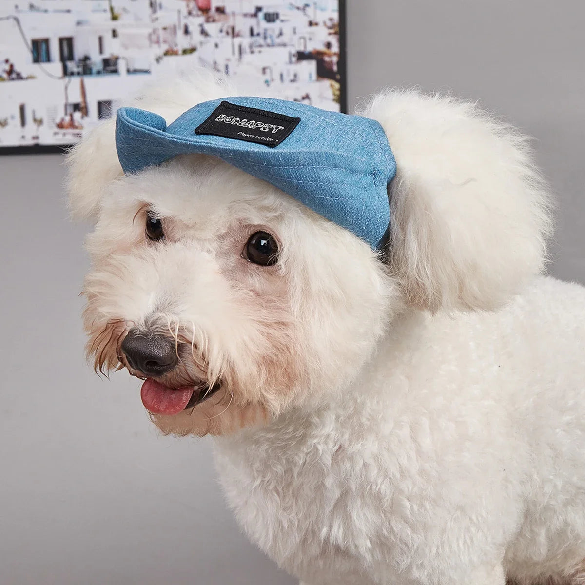 Dog Summer Baseball Cap