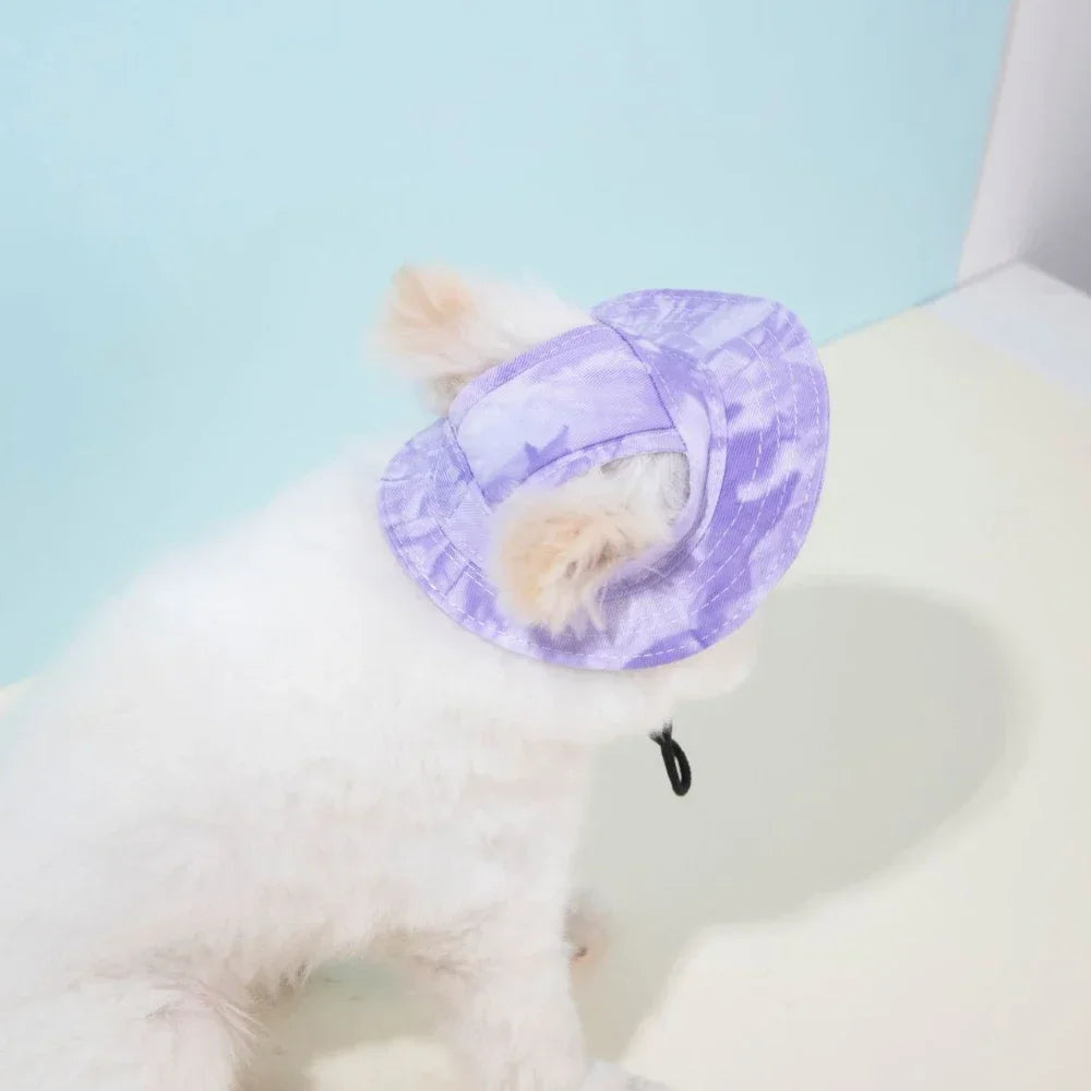 Pet Hat with Ear Holes